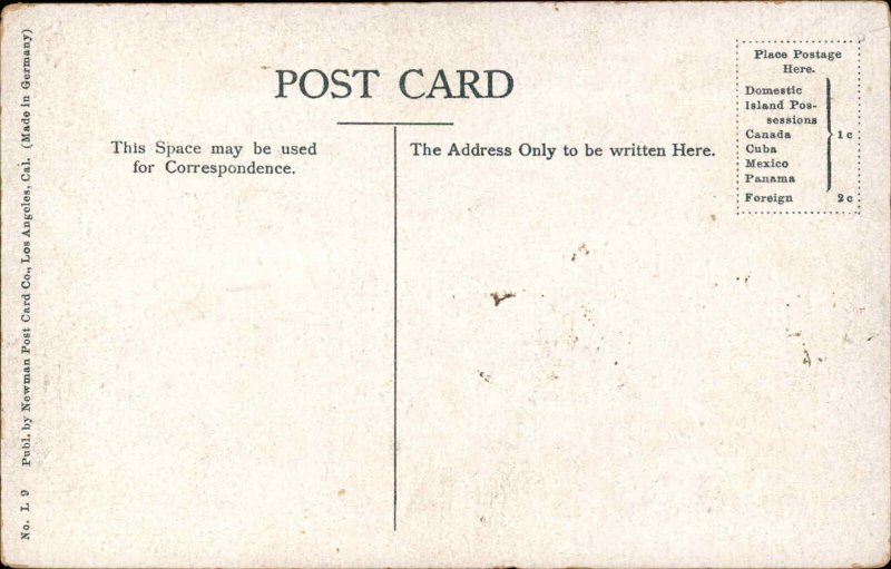 Steamship SS State of California c1910 Postcard - Unused 