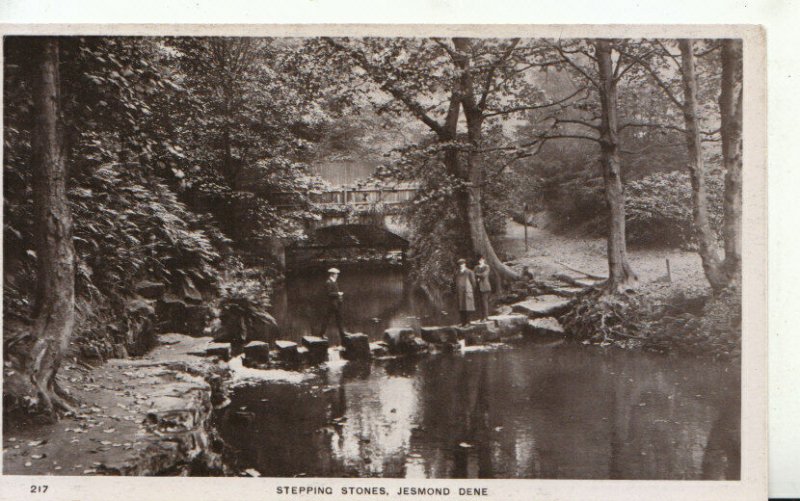 Northumberland Postcard - Stepping Stones - Jesmond Dene - Ref TZ11442