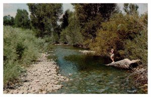 Postcard WATER SCENE State Of Nevada NV AT1267