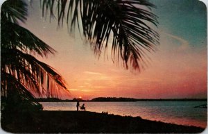 Florida Scenic Tropical Sunset Coastal Ocean View Palm Trees Chrome Postcard 