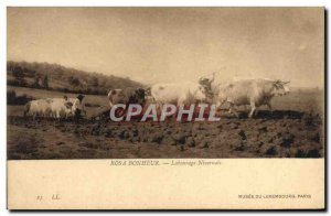 Old Postcard Rosa Bonheur Plowing in Nivernais Musee Du Luxembourg Paris