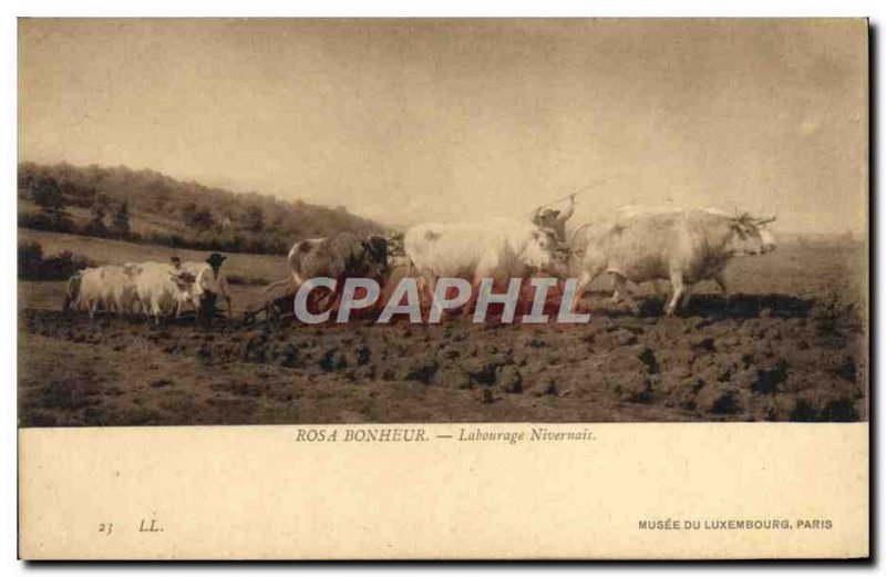 Old Postcard Rosa Bonheur Plowing in Nivernais Musee Du Luxembourg Paris