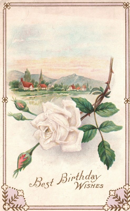 Vintage Postcard 1910's Best Birthday Wishes Greetings Card White Flower Rose