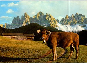 Italy Suedtirol Geislerspitzen