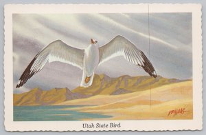 Artist Signed~Ken Haag~Sea Gull~Utah State Bird~View From Below Of Ascent~Vtg PC