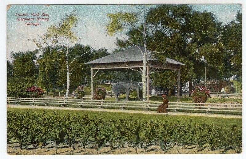 Chicago, Lincoln Park Zoo, (Elephant House)