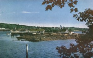 Vintage Postcard Fish Factory Typical Sardine Packing House Portland, ME