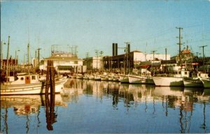 Postcard Fisherman's Warf CA San Francisco California Vintage Standard View Card 