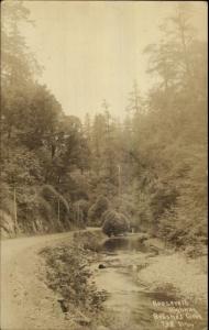 Merced CA Cancel - Roosevelt HWY Brushes Creek c1920s Real Photo Postcard