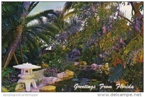 Florida Fort Lauderdale Flowering Gardens At Patrcia Murphy's Candleligh...