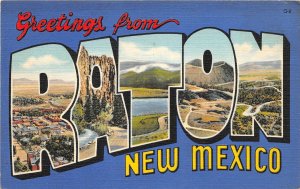 H56/ Raton New Mexico Linen Large Letter Greetings from Postcard