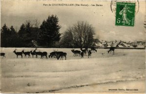 CPA Chateauvillain - Les Daims (270116)