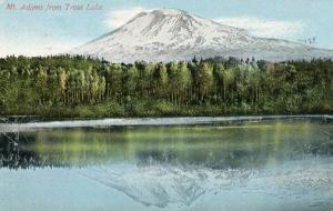 OR - Mt. Adams from Trout Lake