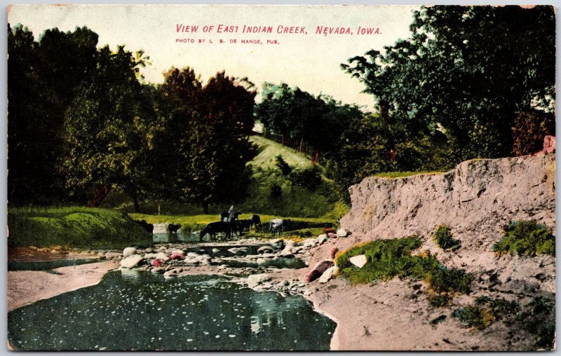 View Of East Indian Creek Nevada Iowa IA River Foret Trees Animals Postcard