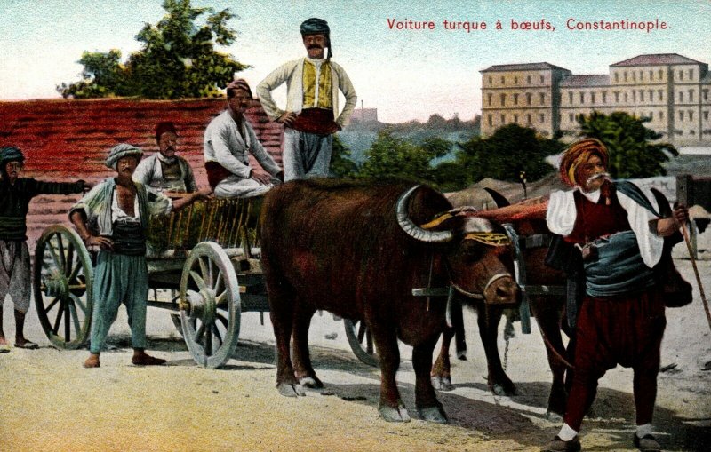 Turkey Istanbul Turkish Ox Car Wagon Constantinople Vintage Postcard 08.78