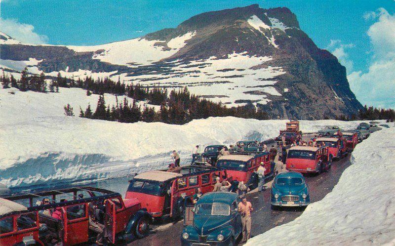 Autos Bus Montana Snow covered Mountains Logan's Glacier 1950s Postcard 13260