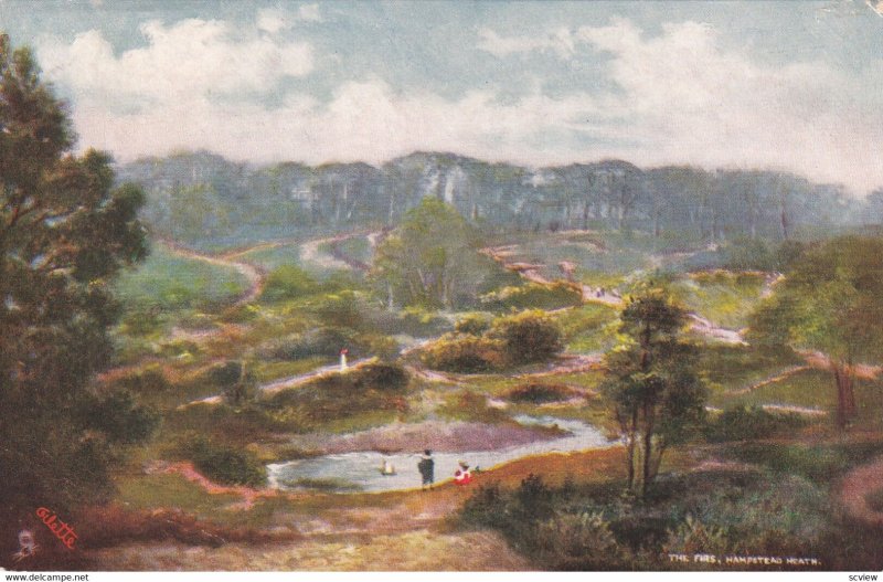 The Firs, Hampstead Heath, 1900-1910s; TUCK 6202