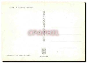 Postcard Modern Fun Landes