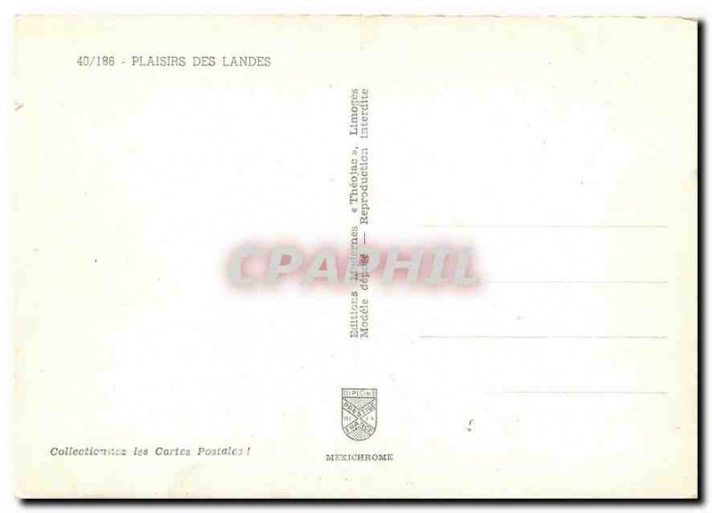 Postcard Modern Fun Landes