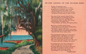 Vintage Postcard 1958 The Legend Of The Spanish Moss By Laughing Eyes Attraction