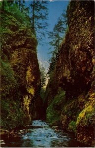 Oneonta Gorge Columbia River Highway Postcard PC339