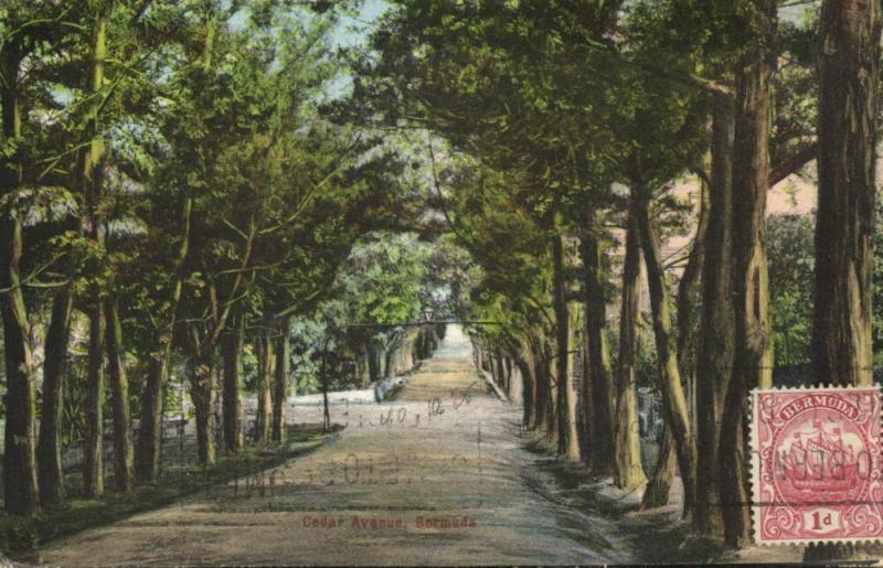 bermuda, Cedar Avenue (1930s) Stamp 