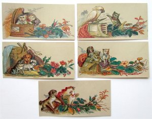 CUTE CATS & DOGS lot OF 5 ANTIQUE VICTORIAN TRADE CARDS