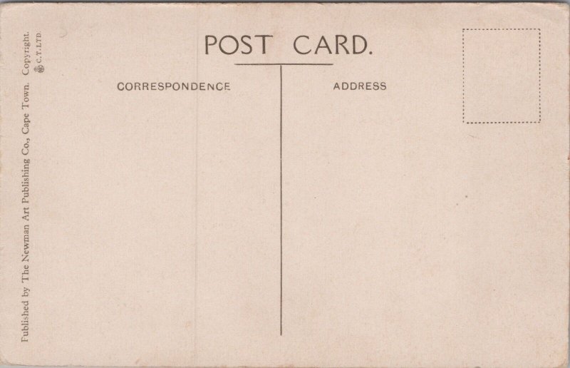 South Africa Cape Town Harbour Vintage Postcard C358