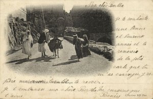 algeria, EL-KANTARA, Dans les Gorges (1900s) Postcard