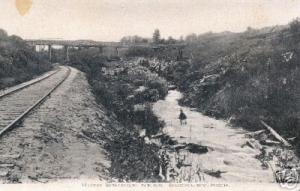 NW Railroad RR Tressel Buckley MI near Stream & M37 Bridge