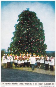 JACKSON , Maryland , 50-60s ; Holly Tree by the Tracks