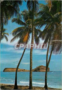 'Modern Postcard Martinique Sainte-Marie L''islet of St. Mary'