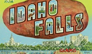 Postcard  Greetings from Idaho Falls, Idaho           T.7