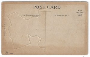 Vintage Comic Doctor Postcard, Young Boy Holding Sign, POP OUT