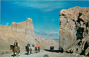 Postcard 1965 California Death Valley National Monument horses CA24-582