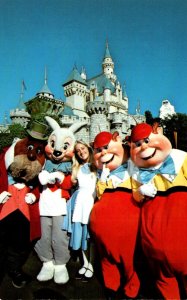 Disneyland Alice In Fantasyland With The Walrus White Rabbit and Tweedle Dum ...