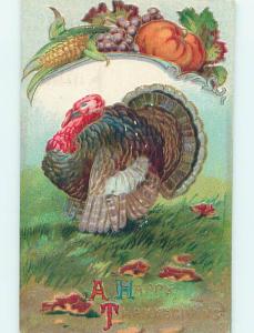 Pre-Linen thanksgiving COLORFUL TURKEY BIRD WITH VEGETABLES AND GRAPES HQ7689