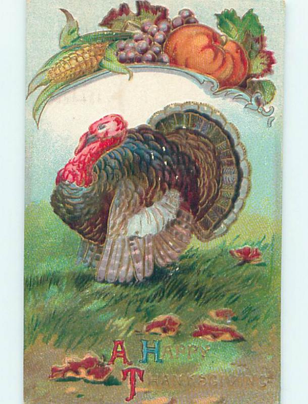 Pre-Linen thanksgiving COLORFUL TURKEY BIRD WITH VEGETABLES AND GRAPES HQ7689