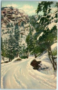 M-7016 Winter in North Cheyenne Canon Pikes Peak Region Colorado