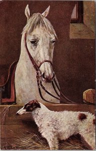 Portrait of White Horse & Dog Canine Barn Animals Series #333 Postcard H40