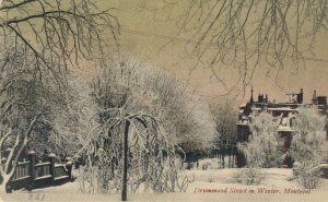 Canada Drummond Street in Winter Montreal 05.54