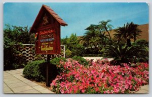 Sign~Tampa Florida~Busch Gardens~Flowers~Palms~Reception Entrance~1950s Postcard