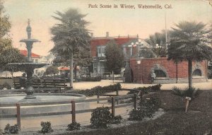 Park Scene Winter WATSONVILLE, CA Santa Cruz County 1907 Hand-Colored Postcard