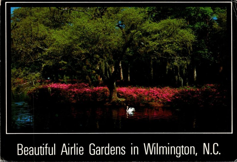 North Carolina Wilmington Beautiful Airlie Gardens