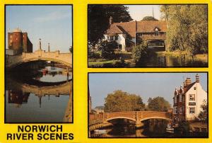 BR81981 norwich river scenes  uk