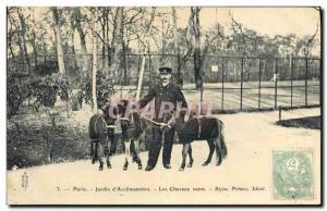 Old Postcard Equestrian Horse Riding Garden of Paris & # 39acclimatation Dwar...