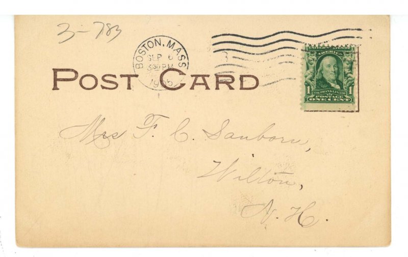 Humor - No Place Like Home  (Piggies)