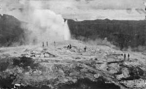 WAIKITE GEYSER NEW ZEALAND POSTCARD (c. 1910)