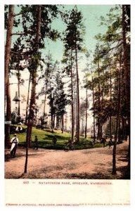 Postcard PARK SCENE Spokane Washington WA AS9093