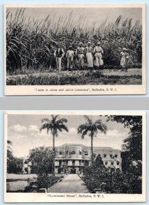 2 Postcards BARBADOS, B.W.I. ~ Sugar Cane NATIVE LABOURERS Government House